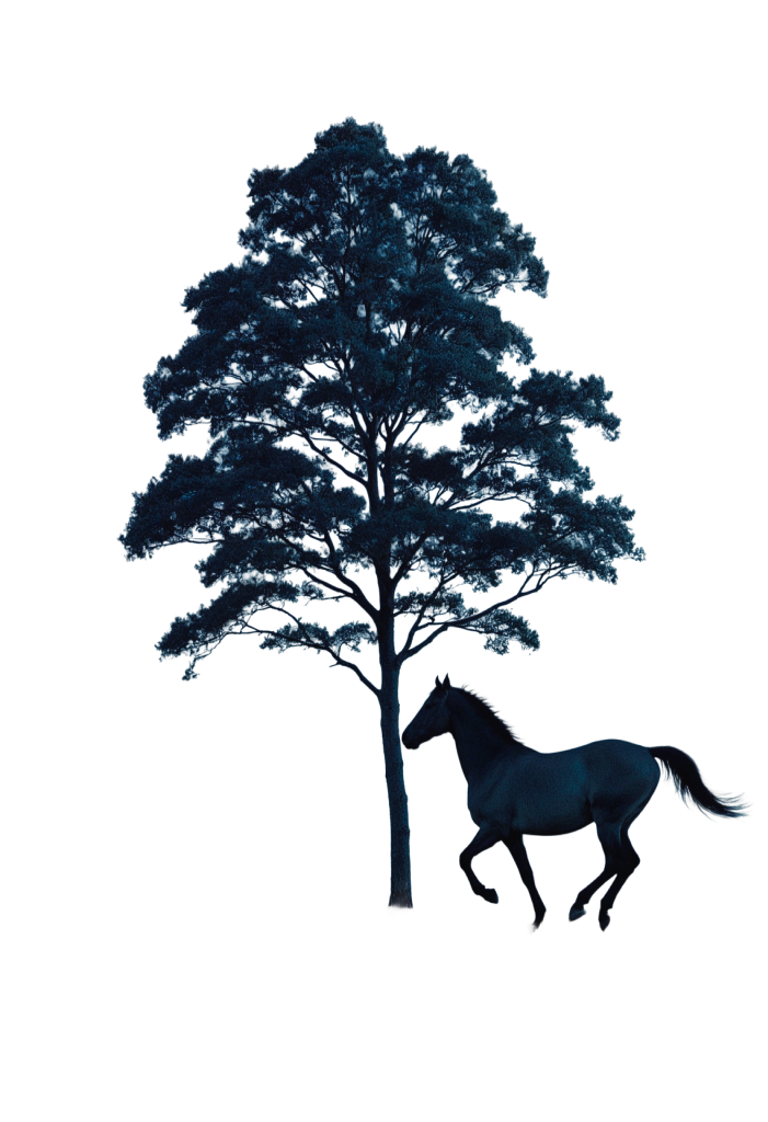 Ilustración de árbol y caballo de Tonka